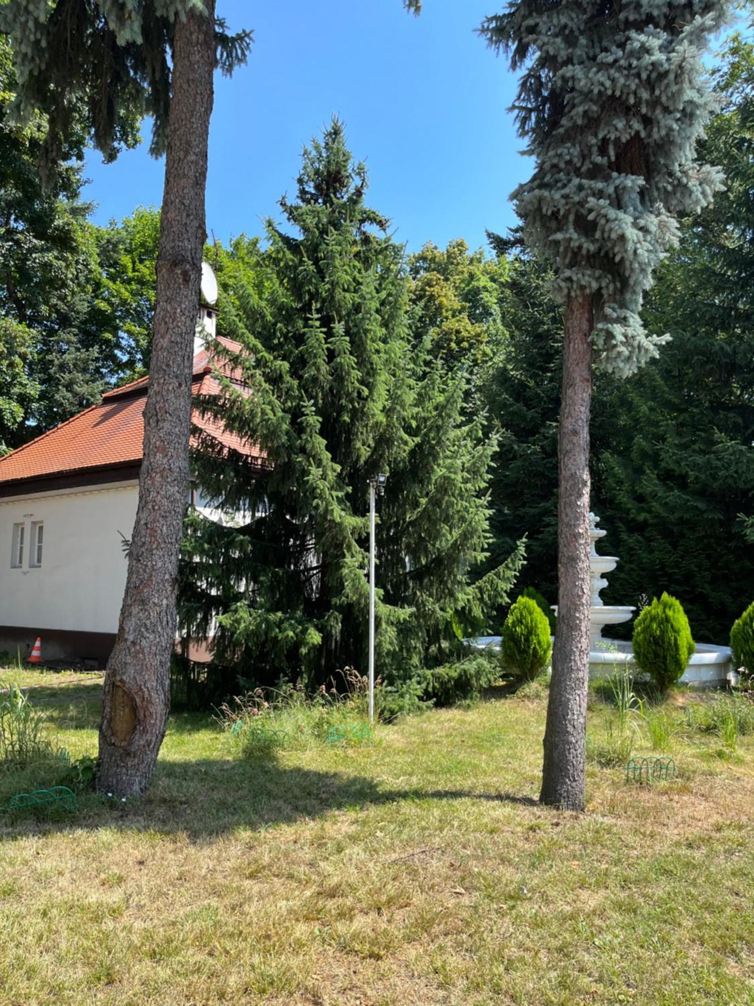 Dedek Park - Historyczny Dworek W Pieknym Parku Skaryszewskim Obok Stadionu Narodowego 华沙 外观 照片