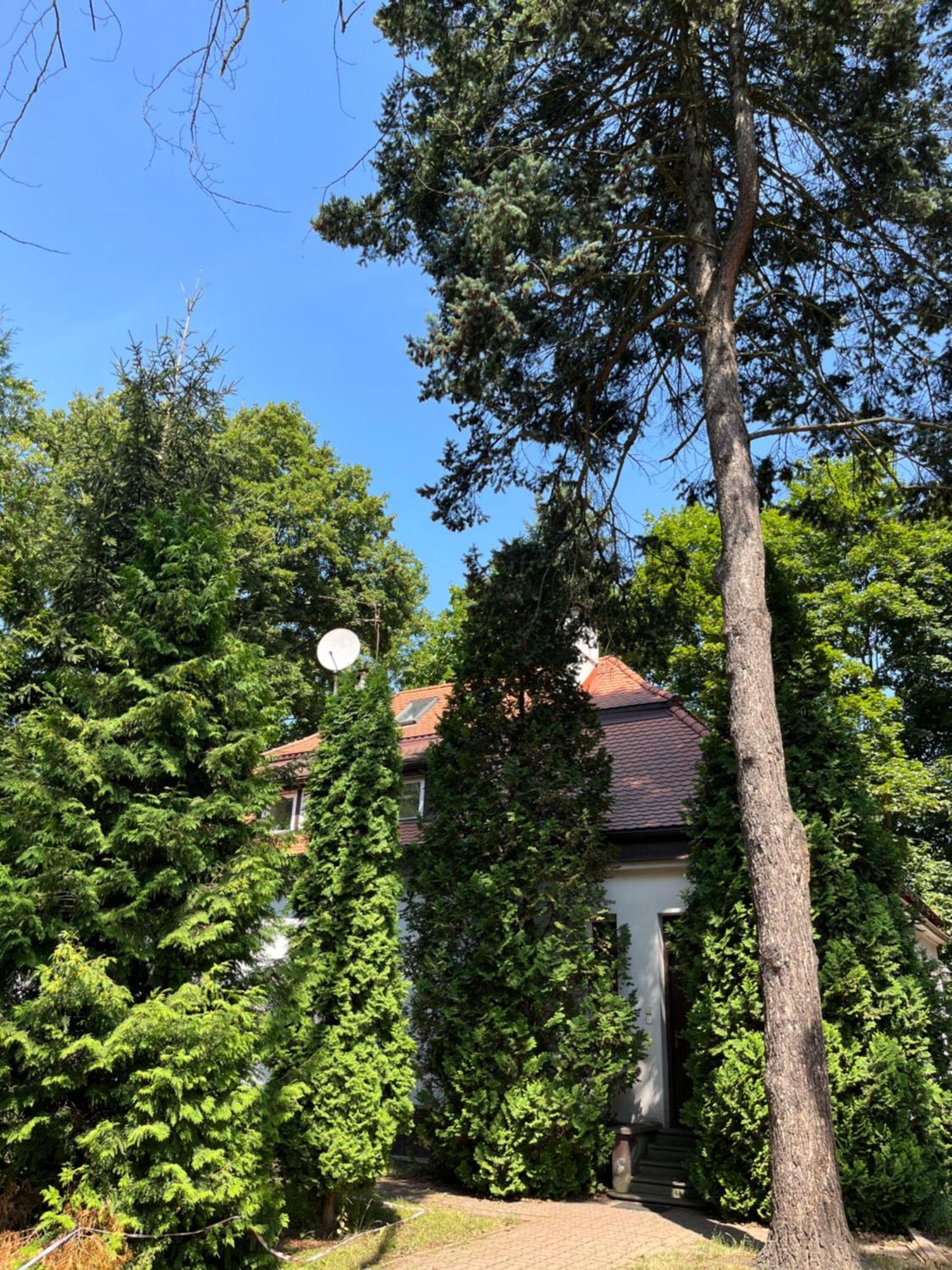 Dedek Park - Historyczny Dworek W Pieknym Parku Skaryszewskim Obok Stadionu Narodowego 华沙 外观 照片